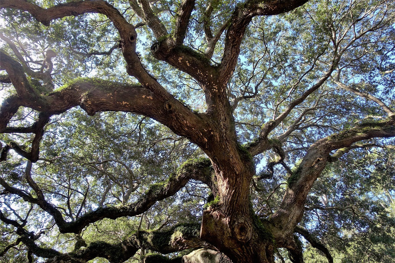 seabrook island